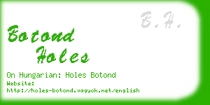 botond holes business card